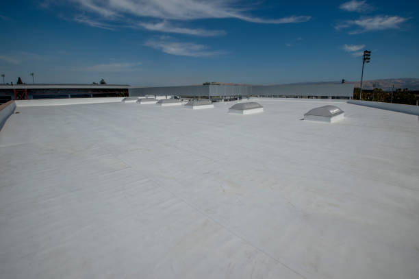 Best Green or Eco-Friendly Roofing Solutions  in Wolfe City, TX