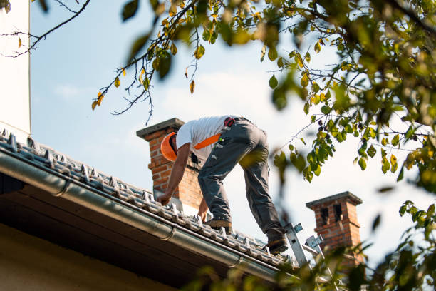 Emergency Roof Repair in Wolfe City, TX